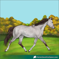 Horse Color:Chocolate Brown Chinchilla Dun Tobiano 