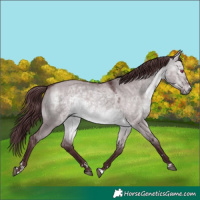 Horse Color:Chocolate Brown Chinchilla Dun 