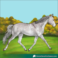 Horse Color:White Spotted Chocolate Silver Bay Chinchilla Dun 