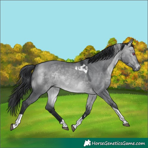 Horse Color:Brown Chinchilla Dun Tobiano