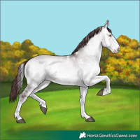 Horse Color:White Spotted Chocolate Brown Chinchilla Onyx 