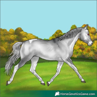 Horse Color:Silver Brown Chinchilla Onyx Tobiano 