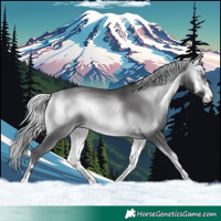 Horse Color:Silver Buckskin Chinchilla Onyx