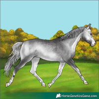Horse Color:Silver Buckskin Chinchilla Onyx 