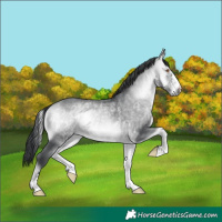 Horse Color:Bay Chinchilla Onyx 