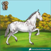Horse Color:White Spotted Chocolate Brown Chinchilla Onyx Tobiano Appaloosa 