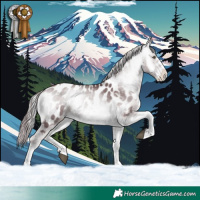 Horse Color:White Spotted Chocolate Brown Chinchilla Onyx Tobiano Blanket 