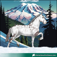 Horse Color:Chocolate Brown Chinchilla Onyx Near Leopard 