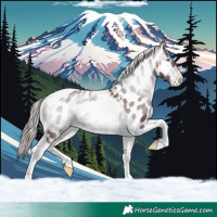 Horse Color:Chocolate Brown Chinchilla Onyx Tobiano Near Leopard