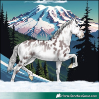 Horse Color:Chocolate Silver Bay Chinchilla Onyx Near Leopard 