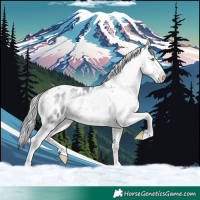 Horse Color:White Spotted Bay Chinchilla Onyx Tobiano Blanket 