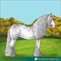 Horse Color:White Spotted Silver Bay Chinchilla Onyx Tobiano Varnish