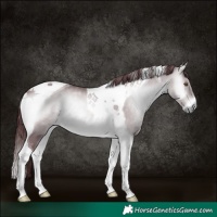 Horse Color:Chocolate Brown Chinchilla Onyx Tobiano 