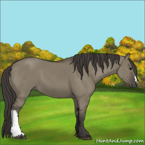 Horse Color:Smoky Grullo