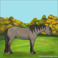 Horse Color:Smoky Grullo