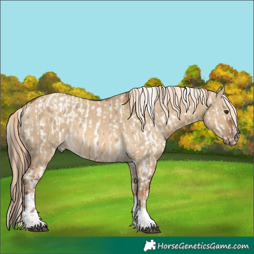 Horse Color:Liver Red Dun Tobiano Appaloosa Rabicano and Chocolate Palomino Dun Tobiano