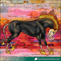 Horse Color:Black 