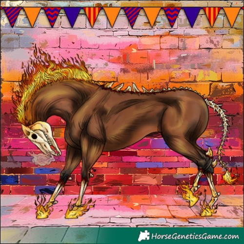 Horse Color:Bay 