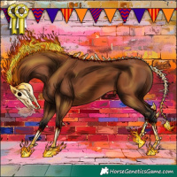 Horse Color:Bay 