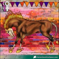 Horse Color:Bay 
