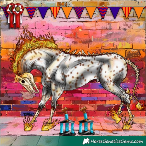 Horse Color:Bay Appaloosa 