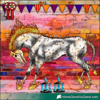 Horse Color:Bay Appaloosa 