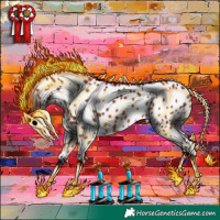 Horse Color:Bay Appaloosa