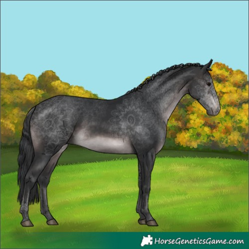 Horse Color:Platinum Brown Rabicano 