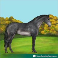 Horse Color:Platinum Brown Rabicano