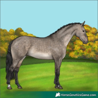 Horse Color:Brown Dun Rabicano 