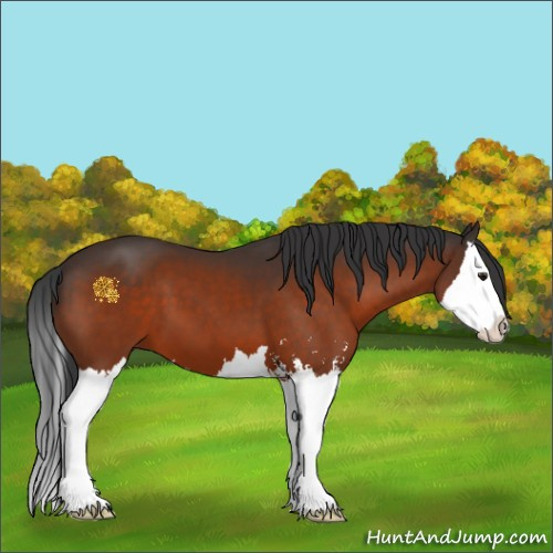 Horse Color:Brown Sabino Splash 