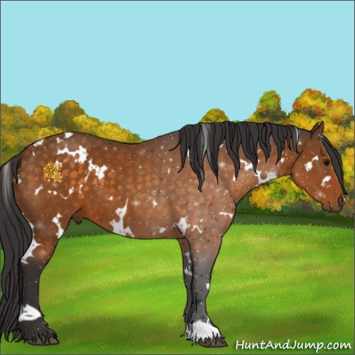 Horse Color:White Spotted Buckskin 