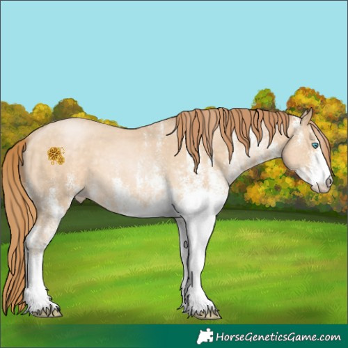 Horse Color:White Spotted Buckskin Pearl 