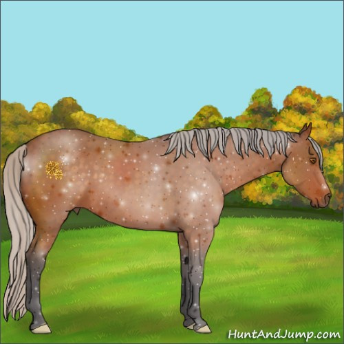 Horse Color:Silver Buckskin 