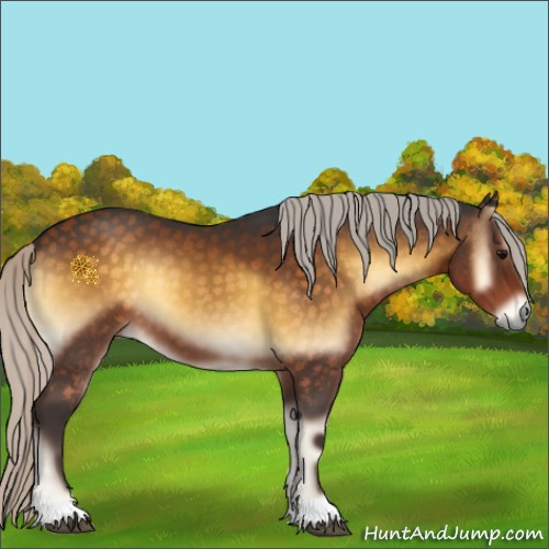 Horse Color:Silver Buckskin Onyx 