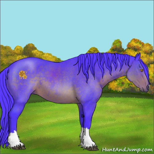 Horse Color:Watercolor Chocolate Brown 