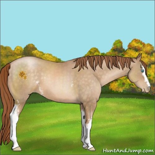 Horse Color:White Spotted Buckskin Pearl 