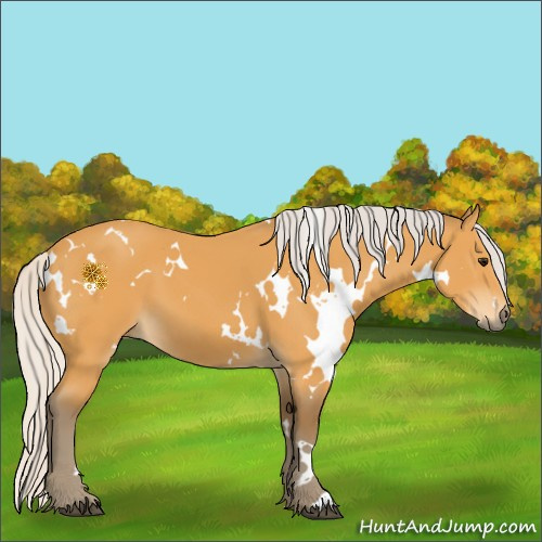 Horse Color:White Spotted Silver Buckskin 