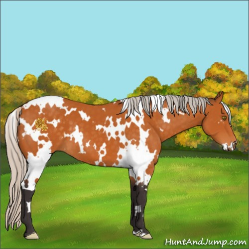 Horse Color:White Spotted Silver Buckskin 