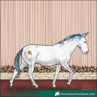 Horse Color:Watercolor White Spotted Black Sabino