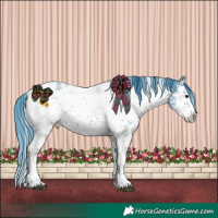 Horse Color:Watercolor White Spotted Black Sabino