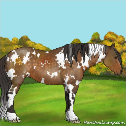 Horse Color:White Spotted Buckskin 