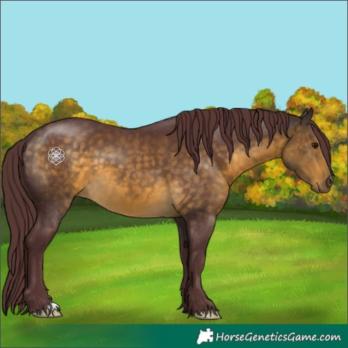 Horse Color:Chocolate Buckskin 