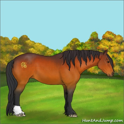Horse Color:Brown 