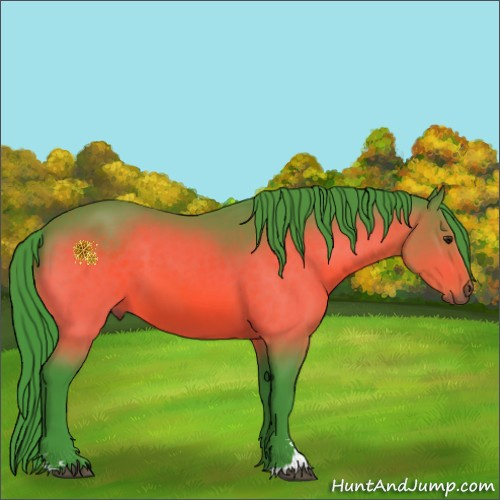 Horse Color:Watercolor Brown Sabino 