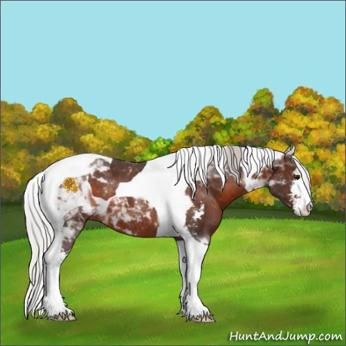 Horse Color:Silver Brown Sabino Tobiano 