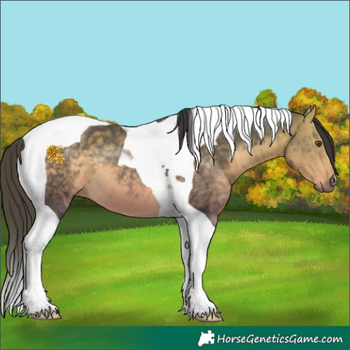 Horse Color:Platinum Buckskin Tobiano
