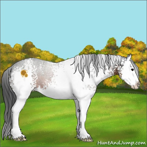 Horse Color:White Spotted Brown Sabino Splash 