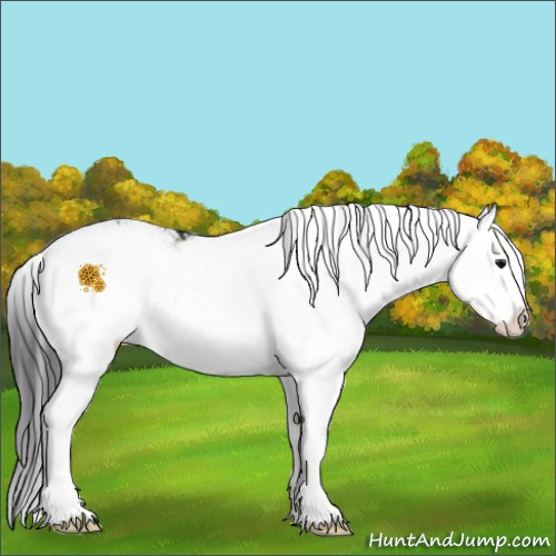 Horse Color:Brown Sabino 