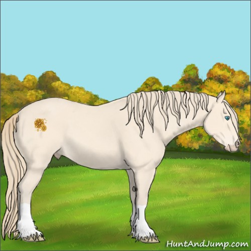 Horse Color:Perlino 